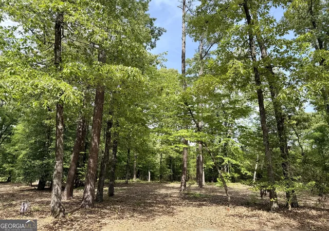 1st image of 0 Deer Creek Trl #LOT 6, Dublin, GA 31021 | MLS# 10740169
