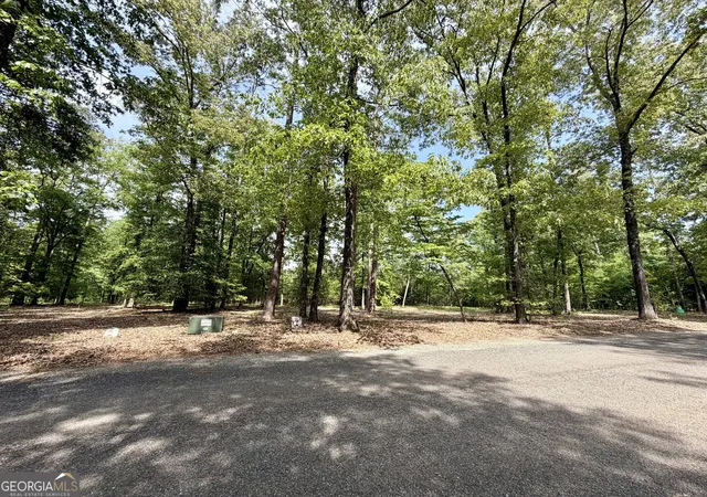 2nd image of 0 Deer Creek Trl #LOT 6, Dublin, GA 31021 | MLS# 10740169