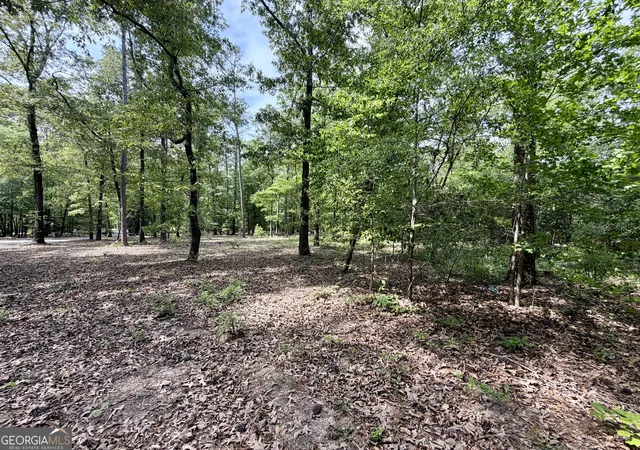 3rd image of 0 Deer Creek Trl #LOT 6, Dublin, GA 31021 | MLS# 10740169