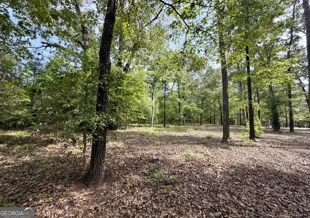 4th image of 0 Deer Creek Trl #LOT 6, Dublin, GA 31021 | MLS# 10740169