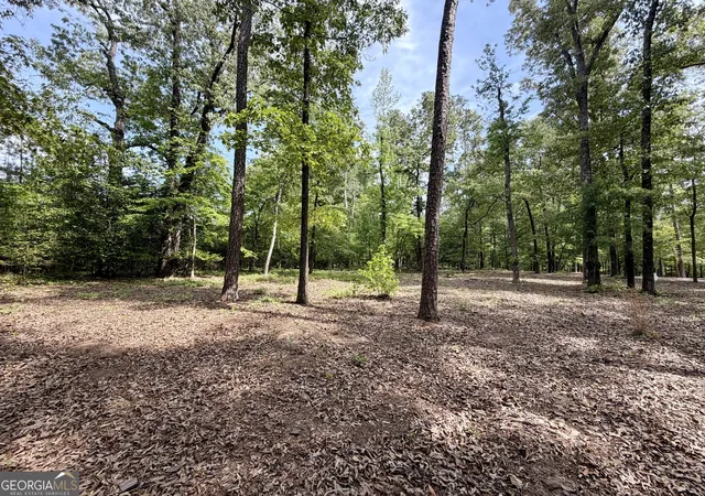 5th image of 0 Deer Creek Trl #LOT 6, Dublin, GA 31021 | MLS# 10740169