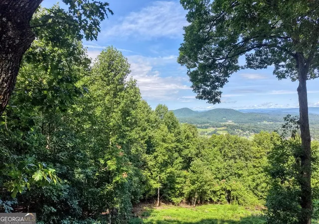 3rd image of 854 Frog Pond Rd, Hiawassee, GA 30546 | MLS# 10831666