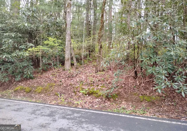 11th image of 0 Rebel Circle #LOT 39, Sky Valley, GA 30537 | MLS# 10782573