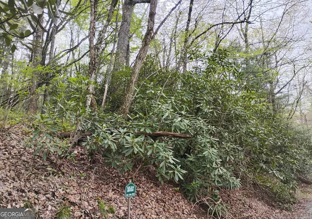 1st image of 0 Rebel Circle #LOT 39, Sky Valley, GA 30537 | MLS# 10782573