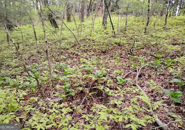 2nd image of 0 Rebel Circle #LOT 39, Sky Valley, GA 30537 | MLS# 10782573