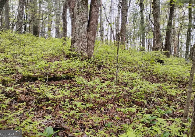 3rd image of 0 Rebel Circle #LOT 39, Sky Valley, GA 30537 | MLS# 10782573