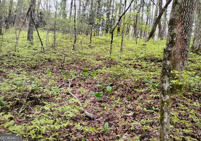 4th image of 0 Rebel Circle #LOT 39, Sky Valley, GA 30537 | MLS# 10782573