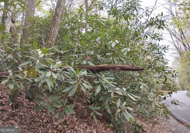 5th image of 0 Rebel Circle #LOT 39, Sky Valley, GA 30537 | MLS# 10782573