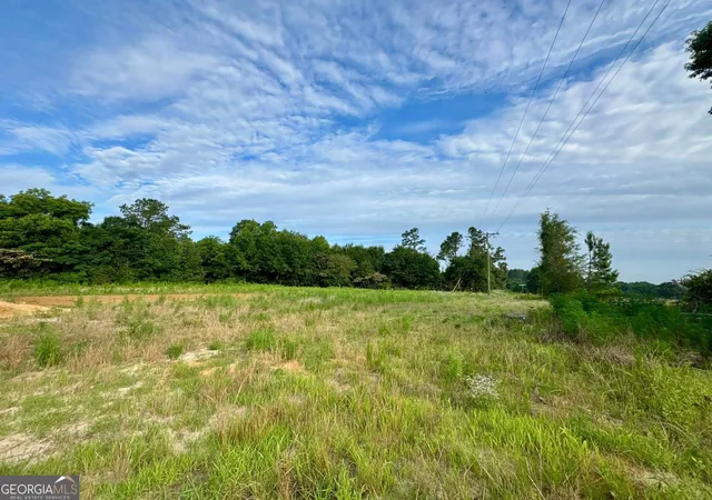 27th image of 1229 Mark Wood Road, Dexter, GA 31019 | MLS# 10738577