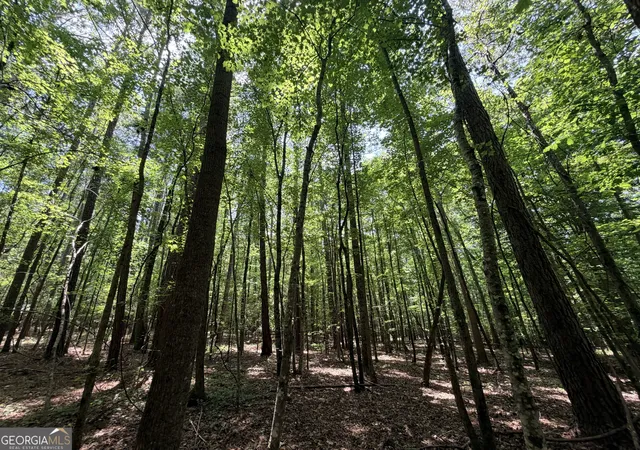 Photo 2 of Land for sale at 1150 Dogwood Rd N, Woodville, GA 30669 | MLS# 10799935 | Listing updated on 2026-08-07
