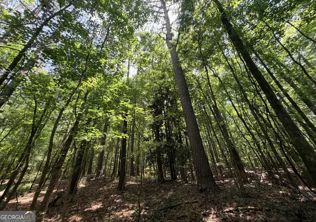 Photo 2 of Land for sale at 1150 Dogwood Rd N, Woodville, GA 30669 | MLS# 10799935 | Listing updated on 2026-08-07