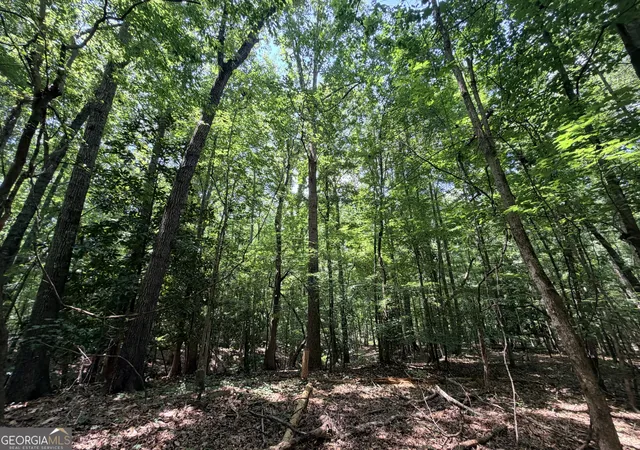 Photo 3 of Land for sale at 1150 Dogwood Rd N, Woodville, GA 30669 | MLS# 10799935 | Listing updated on 2026-08-07