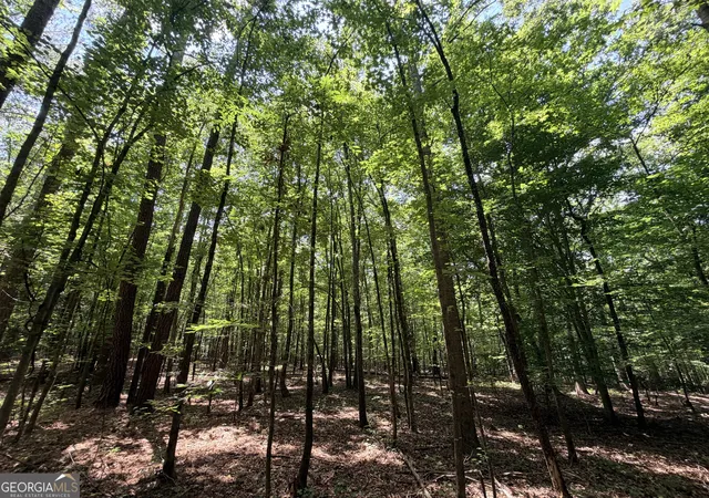 Photo 4 of Land for sale at 1150 Dogwood Rd N, Woodville, GA 30669 | MLS# 10799935 | Listing updated on 2026-08-07