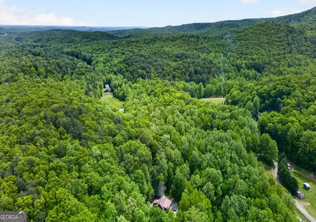45th image of 1 Thurmond Walker Rd, Dahlonega, GA 30533 | MLS# 10763019