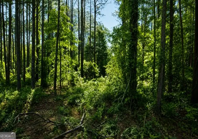 Photo 3 of Land for sale at 0 Deerwood Trl, Dublin, GA 31021 | MLS# 10819823 | Listing updated on 2026-09-21