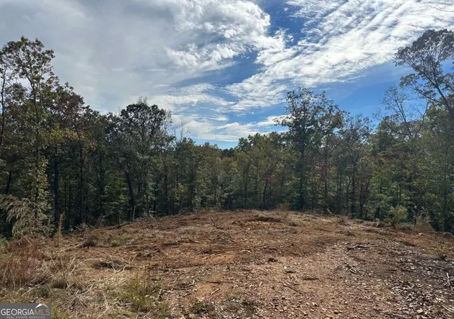 Photo 1 of Land for sale at 5 Yancy Dr, Dawsonville, GA 30534 | MLS# 10877391 | Listing updated on 2026-10-26