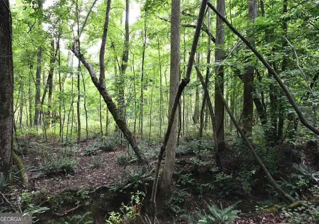 2nd image of 00008 Windridge Ln, Temple, GA 30179 | MLS# 10757386