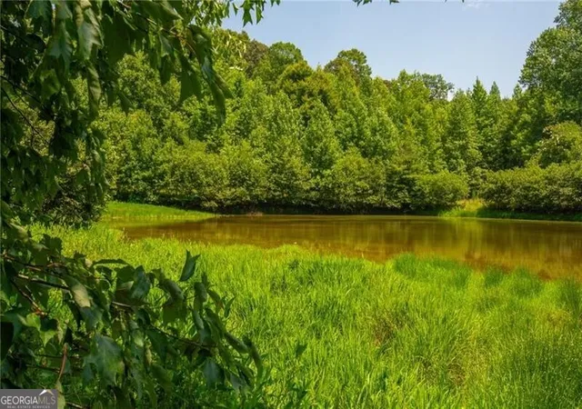 15th image of 0 Porter Springs Road, Dahlonega, GA 30533 | MLS# 10820285