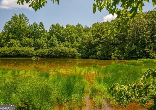 1st image of 0 Porter Springs Road, Dahlonega, GA 30533 | MLS# 10820285