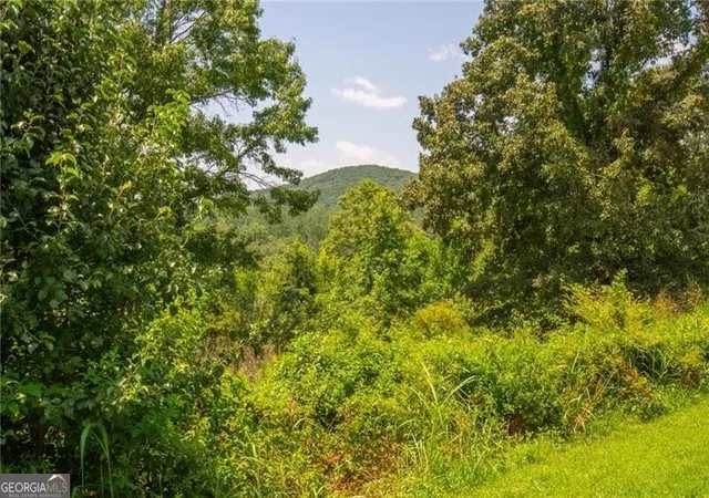3rd image of 0 Porter Springs Road, Dahlonega, GA 30533 | MLS# 10820285
