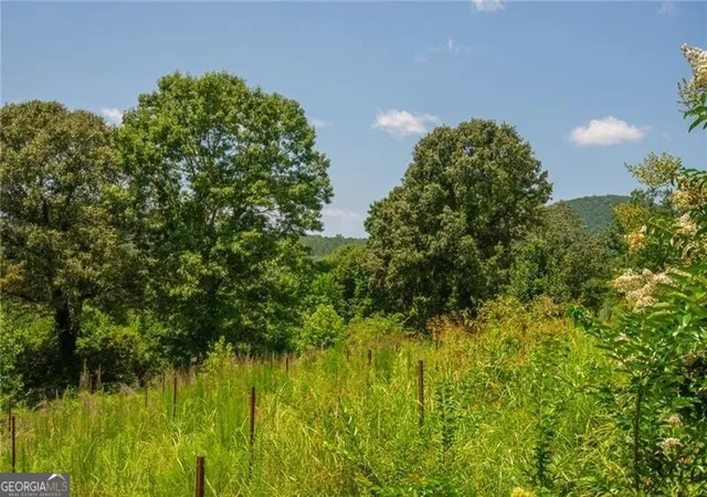 4th image of 0 Porter Springs Road, Dahlonega, GA 30533 | MLS# 10820285