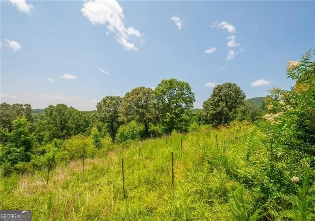 5th image of 0 Porter Springs Road, Dahlonega, GA 30533 | MLS# 10820285