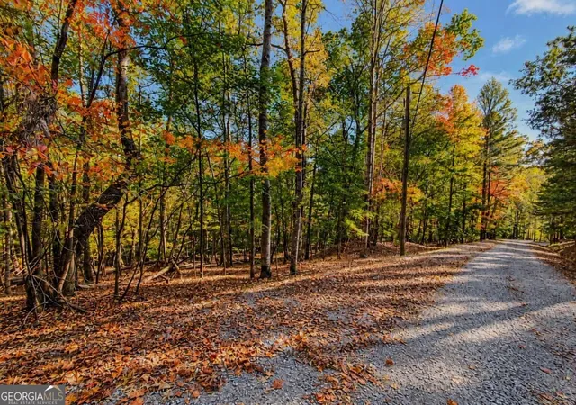 Photo 1 of Land for sale at Lot 3118 Opal Ln #00, Ellijay, GA 30540 | MLS# 10879383 | Listing updated on 2026-10-27