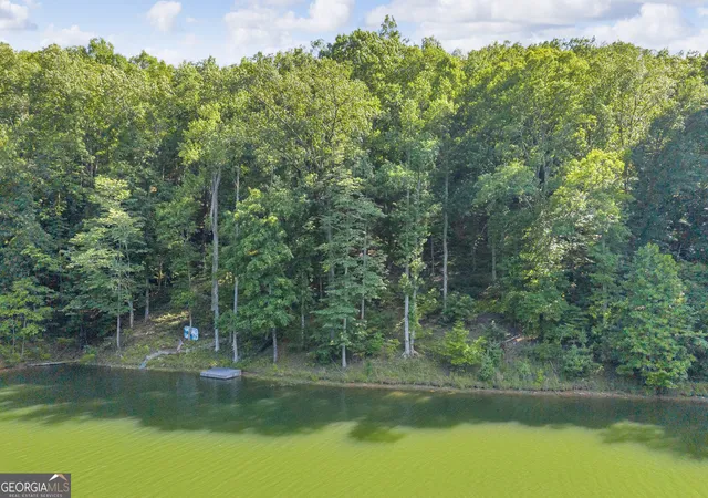 5th image of 0 Lake Watch Pt, Cleveland, GA 30528 | MLS# 10792775