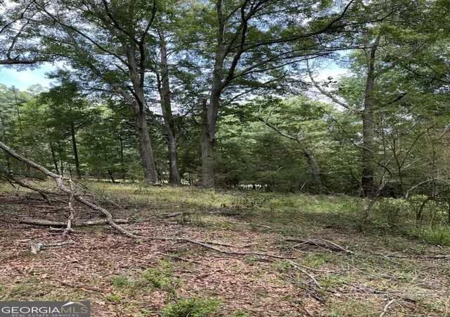 Photo 4 of Land for sale at 1240 Summit Dr, Watkinsville, GA 30677 | MLS# 10814286 | Listing updated on 2026-08-12