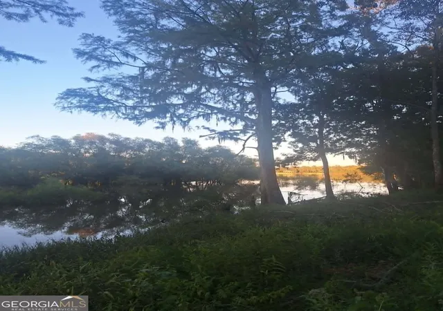 4th image of 0 Eagles Point, Surrency, GA 31563 | MLS# 10770802