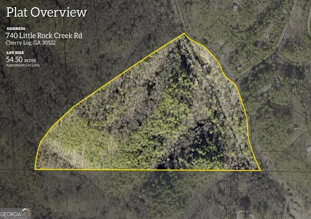 Homes for sale in Cherry Log, GA | 740 Little Rock Creek Rd, Cherry Log, GA 30522 | MLS# 10758528