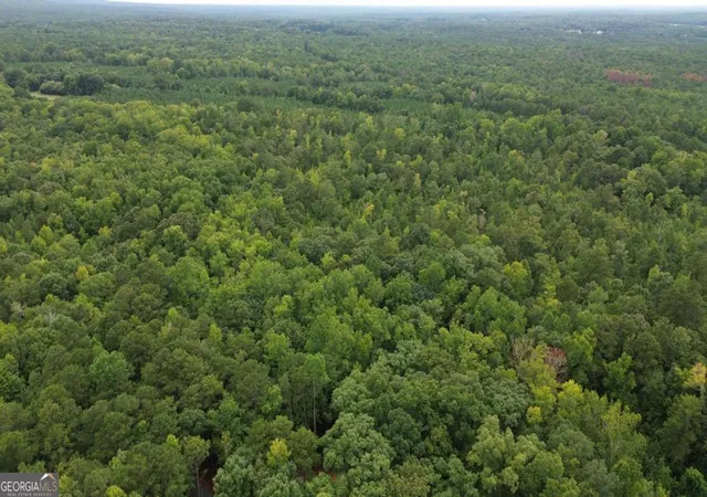 1st image of 0 Roosevelt Hwy   2058 Acres, Warm Springs, GA 31830 | MLS# 10828367