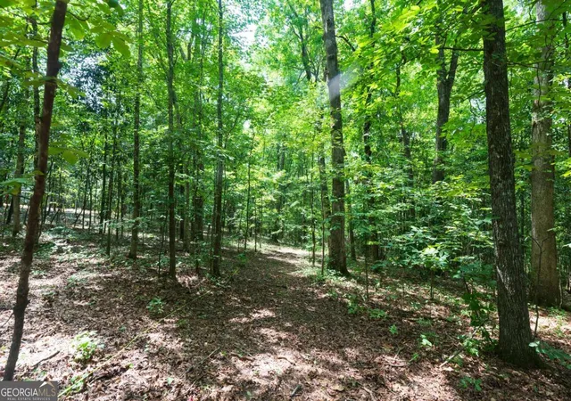 2nd image of 0 Roosevelt Hwy   2058 Acres, Warm Springs, GA 31830 | MLS# 10828367