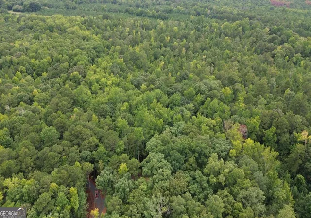 4th image of 0 Roosevelt Hwy - 2058 Acres, Warm Springs, GA 31830 | MLS# 10828367