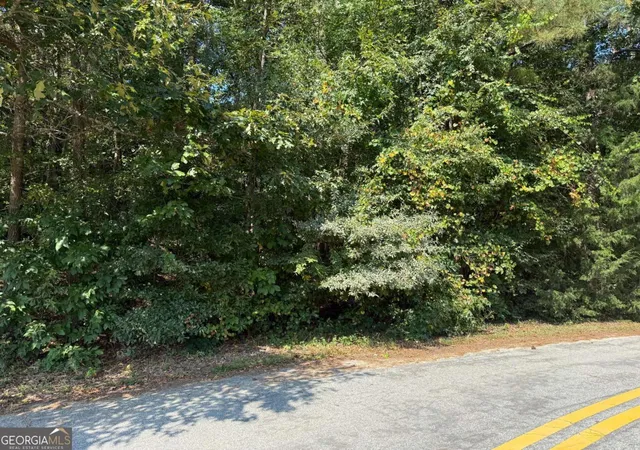 Photo 4 of Land for sale at 2390 Trailwood Dr Ne, Conyers, GA 30012 | MLS# 10609292 | Listing updated on 2026-08-25