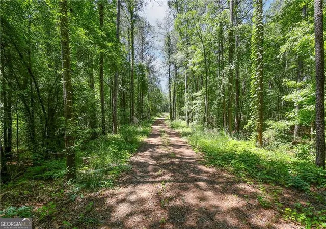 5th image of 0 Manning Gin Rd, Monroe, GA 30656 | MLS# 10766930