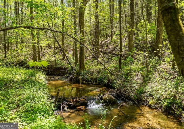 Photo 2 of Land for sale at 0 Burnt Mountain Rd, Ellijay, GA 30536 | MLS# 10736953 | Listing updated on 2026-05-04