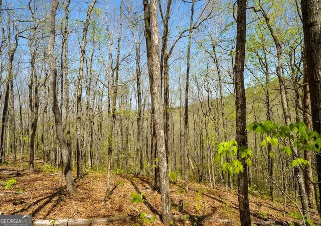 Photo 2 of House for sale at 0 Burnt Mountain Rd, Ellijay, GA 30536 | MLS# 10736953 | Listing updated on 2026-05-04