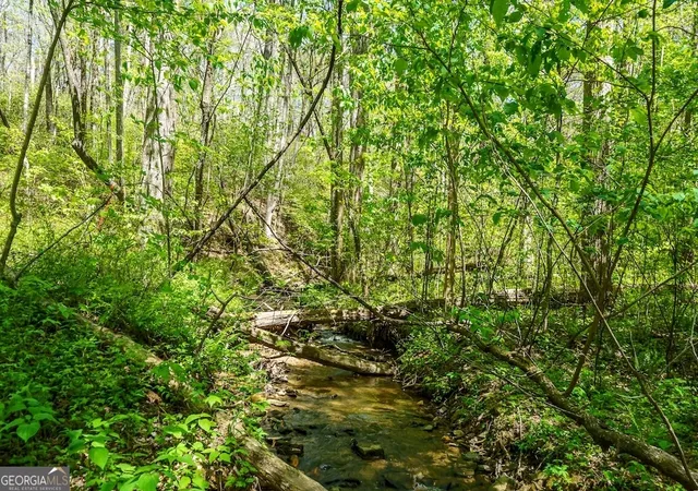 Photo 3 of House for sale at 0 Burnt Mountain Rd, Ellijay, GA 30536 | MLS# 10736953 | Listing updated on 2026-05-04
