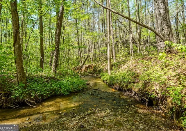 Photo 4 of House for sale at 0 Burnt Mountain Rd, Ellijay, GA 30536 | MLS# 10736953 | Listing updated on 2026-05-04