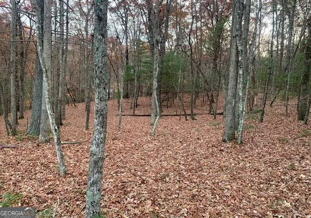 1st image of Lot 4 Courtney Ln, Blairsville, GA 30512 | MLS# 10792060