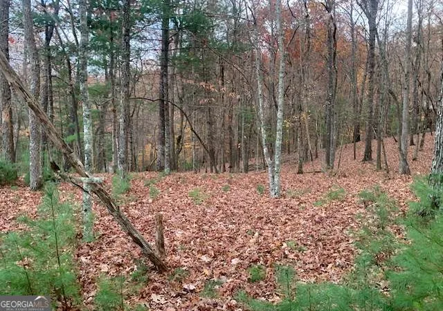 2nd image of Lot 4 Courtney Ln, Blairsville, GA 30512 | MLS# 10792060