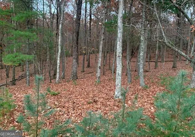 Photo 2 of Land for sale at Lot 4 Courtney Ln, Blairsville, GA 30512 | MLS# 10792060 | Listing updated on 2026-07-08