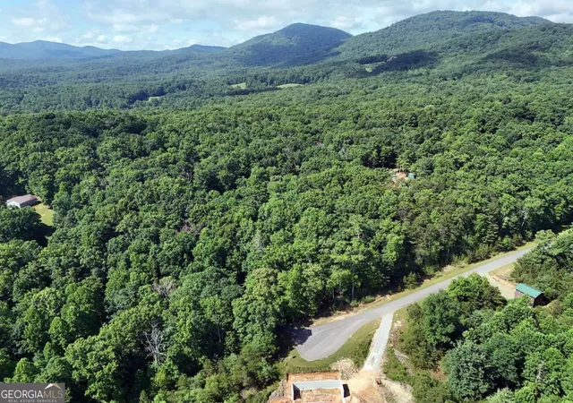 44th image of Lot 4 Courtney Ln, Blairsville, GA 30512 | MLS# 10792060