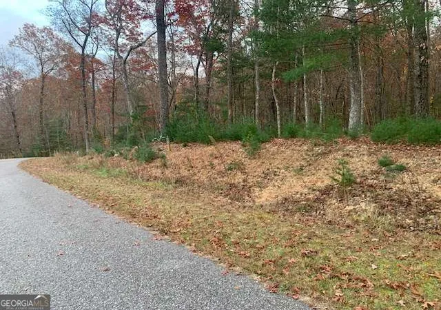 Photo 3 of Land for sale at Lot 4 Courtney Ln, Blairsville, GA 30512 | MLS# 10792060 | Listing updated on 2026-07-08