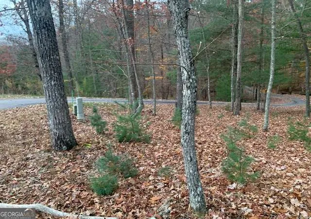 Photo 4 of Land for sale at Lot 4 Courtney Ln, Blairsville, GA 30512 | MLS# 10792060 | Listing updated on 2026-07-08