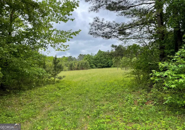 Photo 2 of Land for sale at 216 Mcmichen Rd, Dallas, GA 30157 | MLS# 10046177 | Listing updated on 2026-05-11