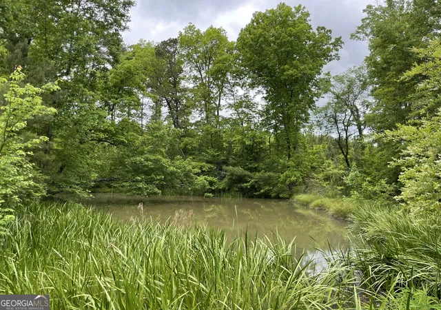 Photo 3 of Land for sale at 216 Mcmichen Rd, Dallas, GA 30157 | MLS# 10046177 | Listing updated on 2026-05-11