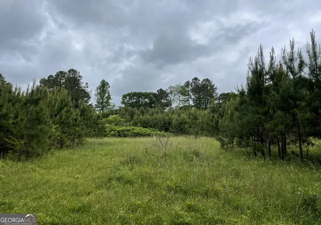 Photo 3 of Land for sale at 216 Mcmichen Rd, Dallas, GA 30157 | MLS# 10046177 | Listing updated on 2026-05-11