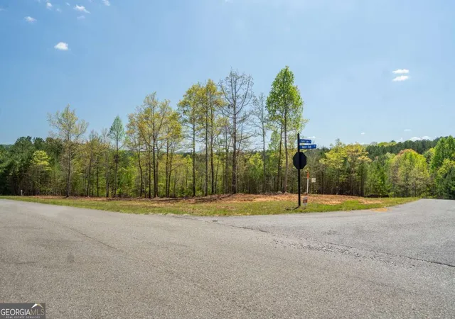 Photo 3 of Land for sale at Lot 41 Sandy Lake Ln, Blairsville, GA 30512 | MLS# 10512186 | Listing updated on 2026-05-18
